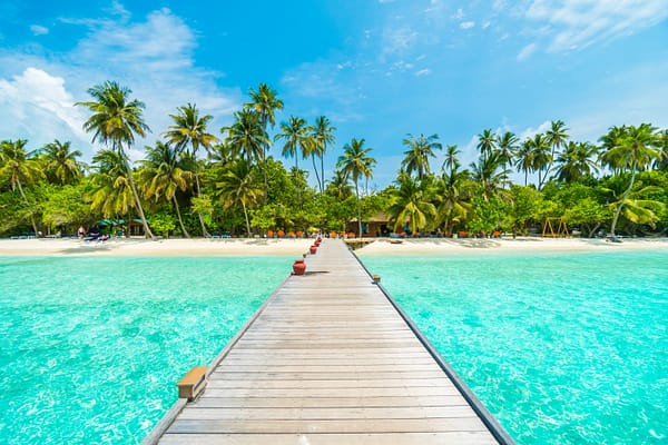 landscape-tropical-vacation-palm-summer