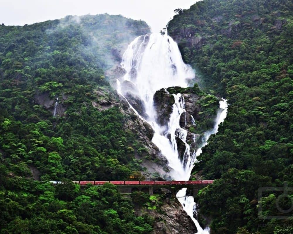 fd6sv77lx6aa7oydowfuuctd6mzw_1467290460_dudhsagar_main