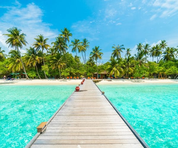 landscape-tropical-vacation-palm-summer